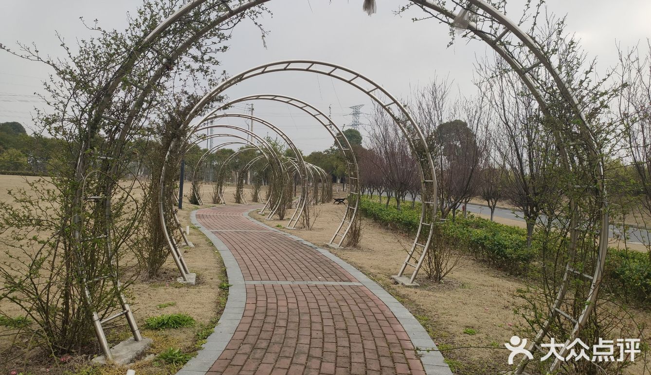 上周,去了趟住于嘉泽的明都枫泽山庄,已是阳春三月
