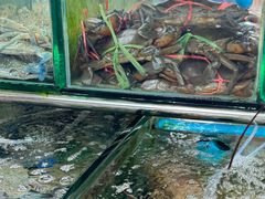 -班赞海鲜市场