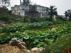 -静之湖度假区
