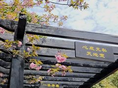 -九龙潭景区