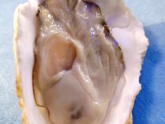 -千岛蚝高压锅生蚝·人参火锅(白云万达店)