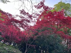 -蠡湖大桥公园