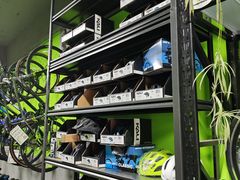 -道路口单车爱瓦士dahon大行