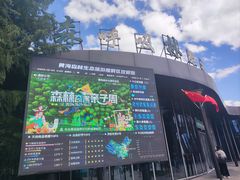 -黄海国家森林公园