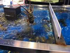 -盒马鲜生(莱蒙都会店)