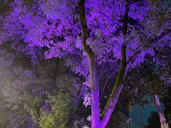 -丝绸小镇荻港古村