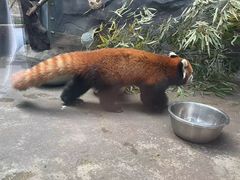 -武汉动物园