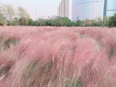 -艾溪湖湿地公园