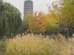-西海子公园