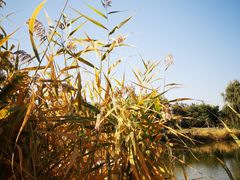 -中关村生命科学园