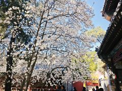 -潭柘寺景区
