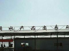 -大湾区中央湿地公园-十九涌