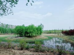 -东郊湿地公园