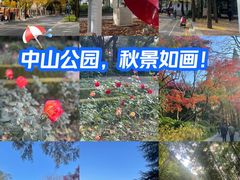 -中山公园