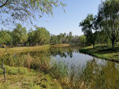 -东郊湿地公园