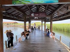 -太湖湖滨国家湿地公园-停车场