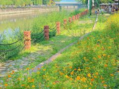 -成都市活水公园