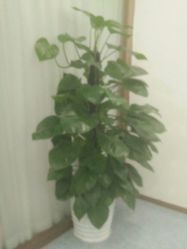 -痘院长·祛痘·皮肤管理