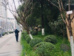 -海棠烟雨公园