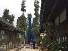 -秀丽东方