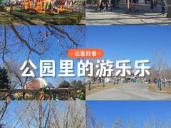 -朝阳公园游乐园