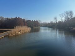 -溱湖国家湿地公园