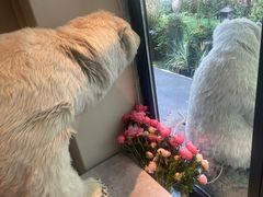 -BOCATA 西班牙餐厅(三里屯店)