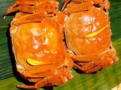 -成隆行·蟹王府(淮海店)