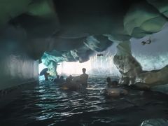 -重庆海昌加勒比海水世界