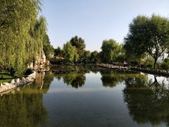 -兰山公园