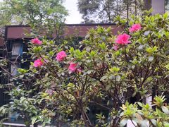 -大妙火锅·非物质文化遗产(东湖公园店)