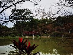-大屏嶂森林公园