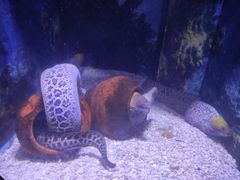 -常州海昌海洋探索馆