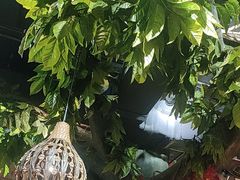 -草原塞蛮羊火锅城(港湾店)