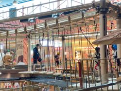 -卡通尼·Safari非洲探索乐园·生日会(金桥国际商业广场店)