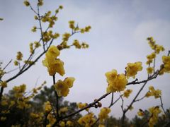 -潮府馆·非遗潮州菜·港式点心(世纪公园店)