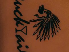 -Ducktail