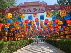 -大槐树寻根祭祖园