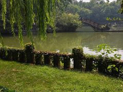 -房湖公园