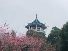 -无锡梅园公园