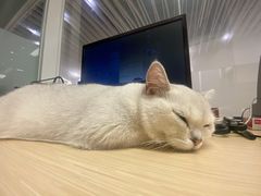 -永祥烧腊餐厅(虹口店)