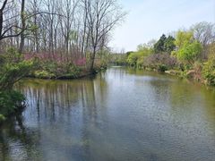 -溱湖国家湿地公园