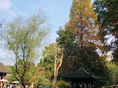-杭州植物园