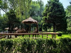 -北京野生动物园