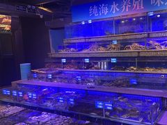 -青蓬蒸汽海鲜·深圳老字号·团建聚会(壹方城店)
