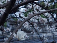 -龙华寺