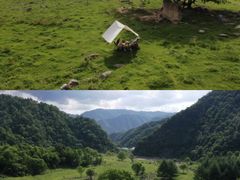 -秦岭风景区