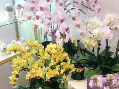 -EPOQUE·一刻花店(兴业太古汇店)