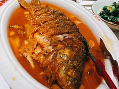 红烧黄河鲤鱼-阿五黄河大鲤鱼(纬三路店)