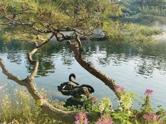 -罗红摄影艺术馆